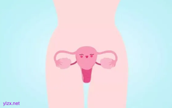幼稚型子宫能治好吗?得了幼稚子宫就会不孕吗?