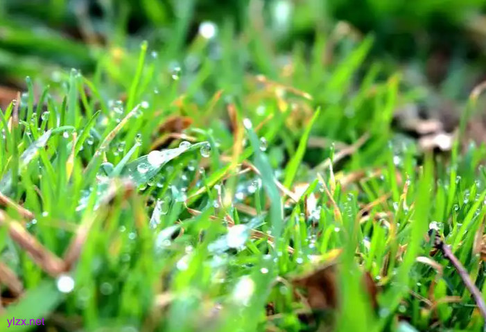 山东天气“变脸”倒计时!18日雷雨+9级大风强势来袭