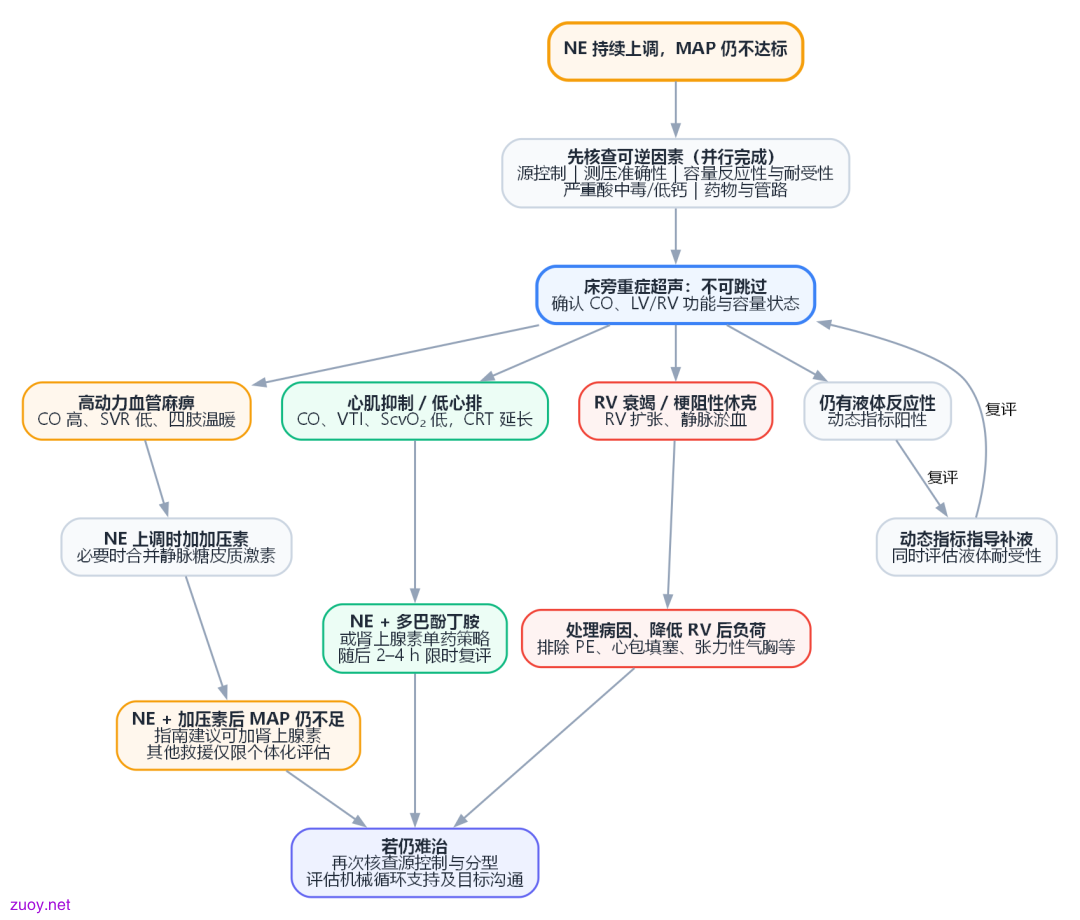 图 2|NE 不断上调时的床旁决策路径