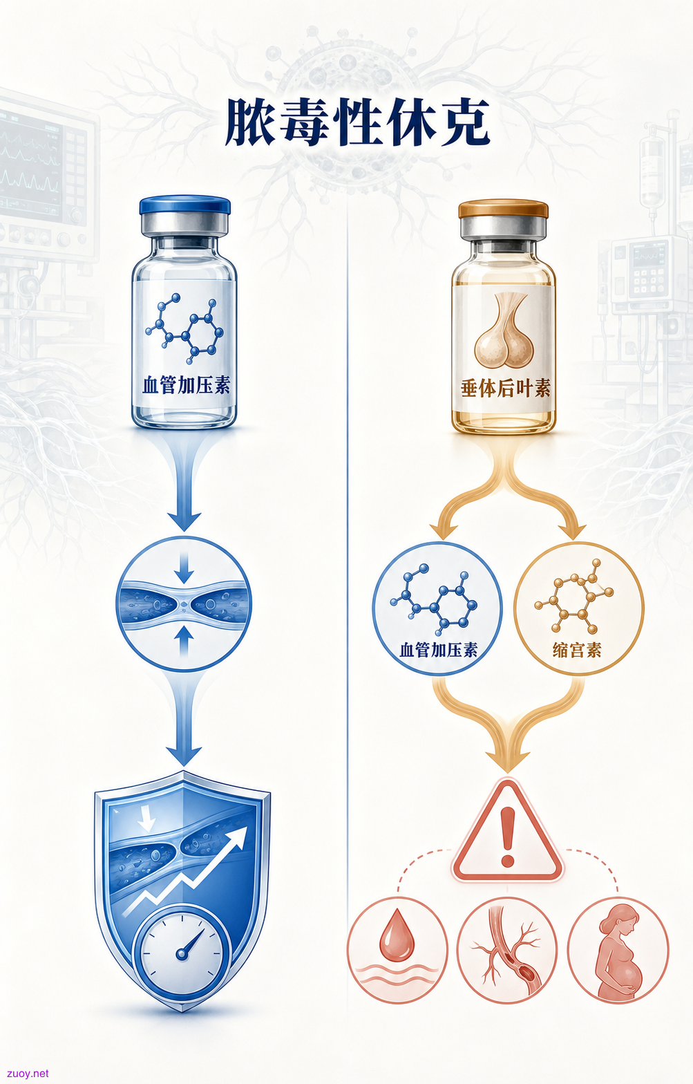 垂体后叶素与<a href='https://www.medsci.cn/guideline/list.do?q=%E8%A1%80%E7%AE%A1'>血管</a>加压素的临床差异信息图